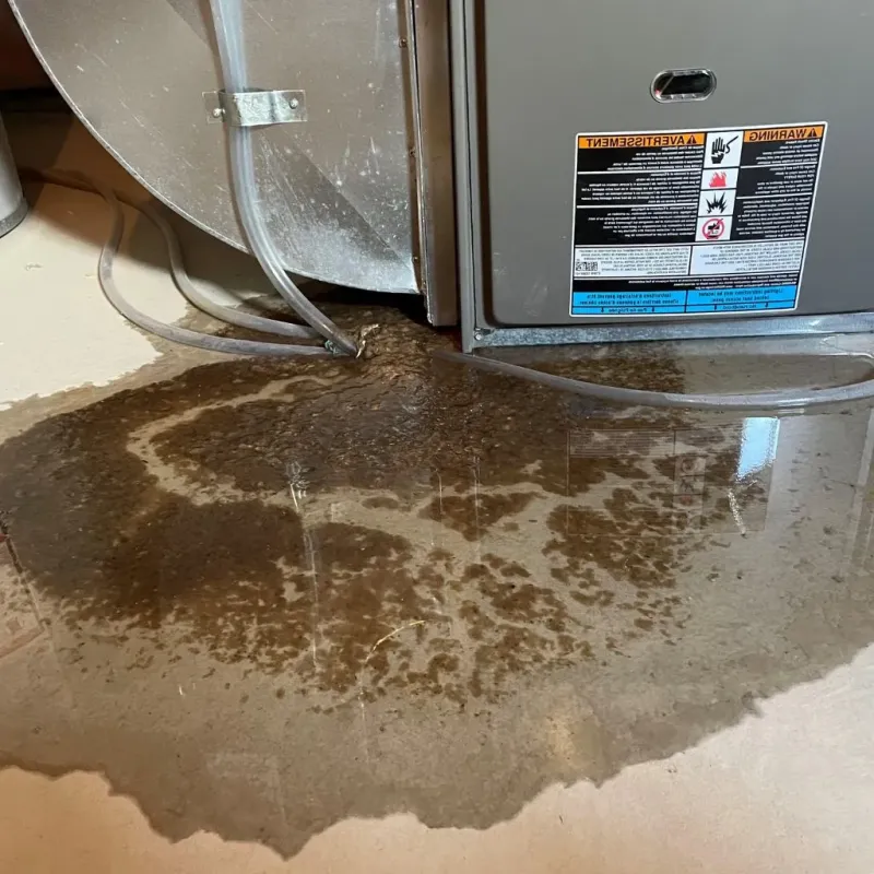 Pipe Burst and Leak Restoration in Suncook, NH